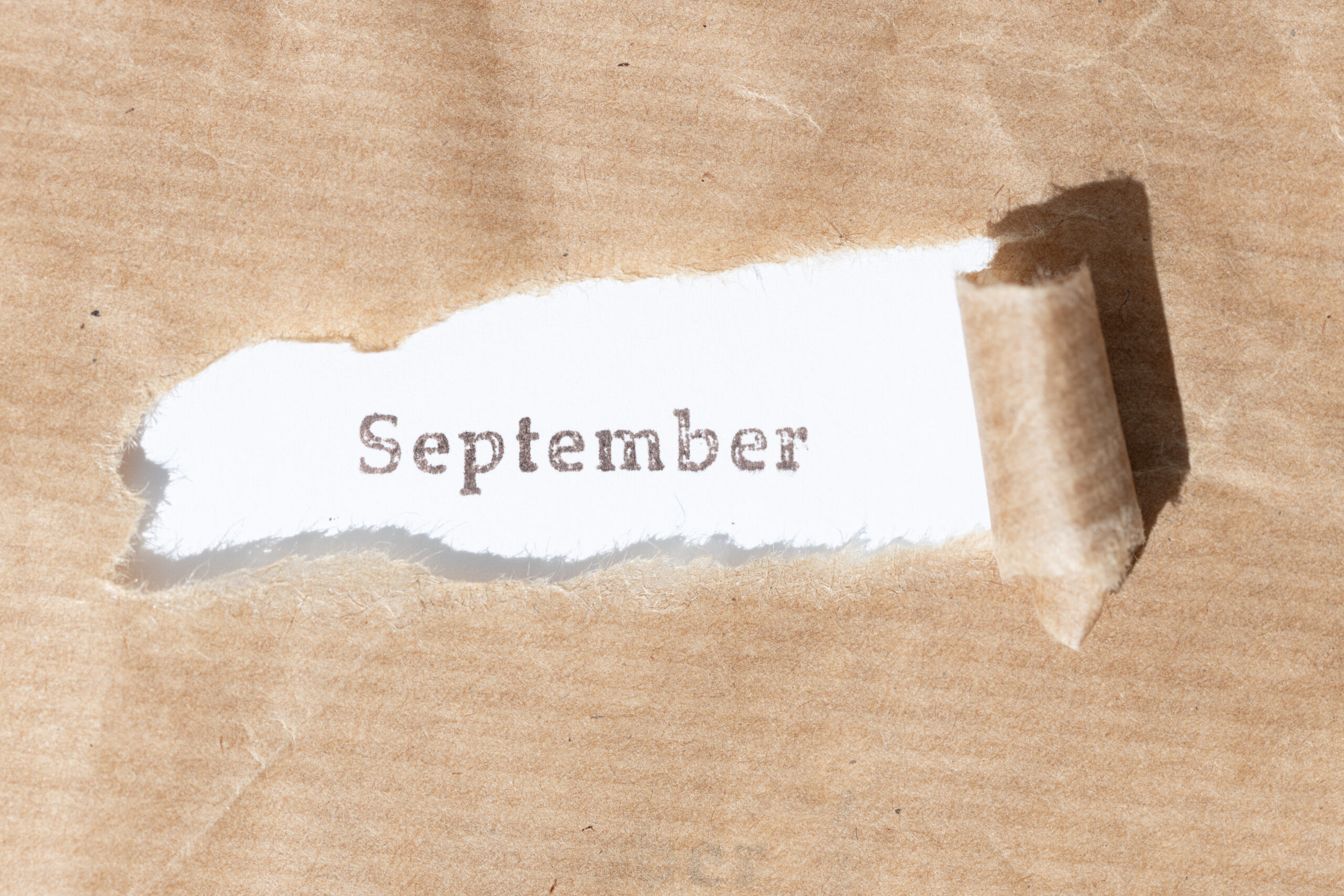 Brown paper torn stripe with ink stamp text September on white paper background