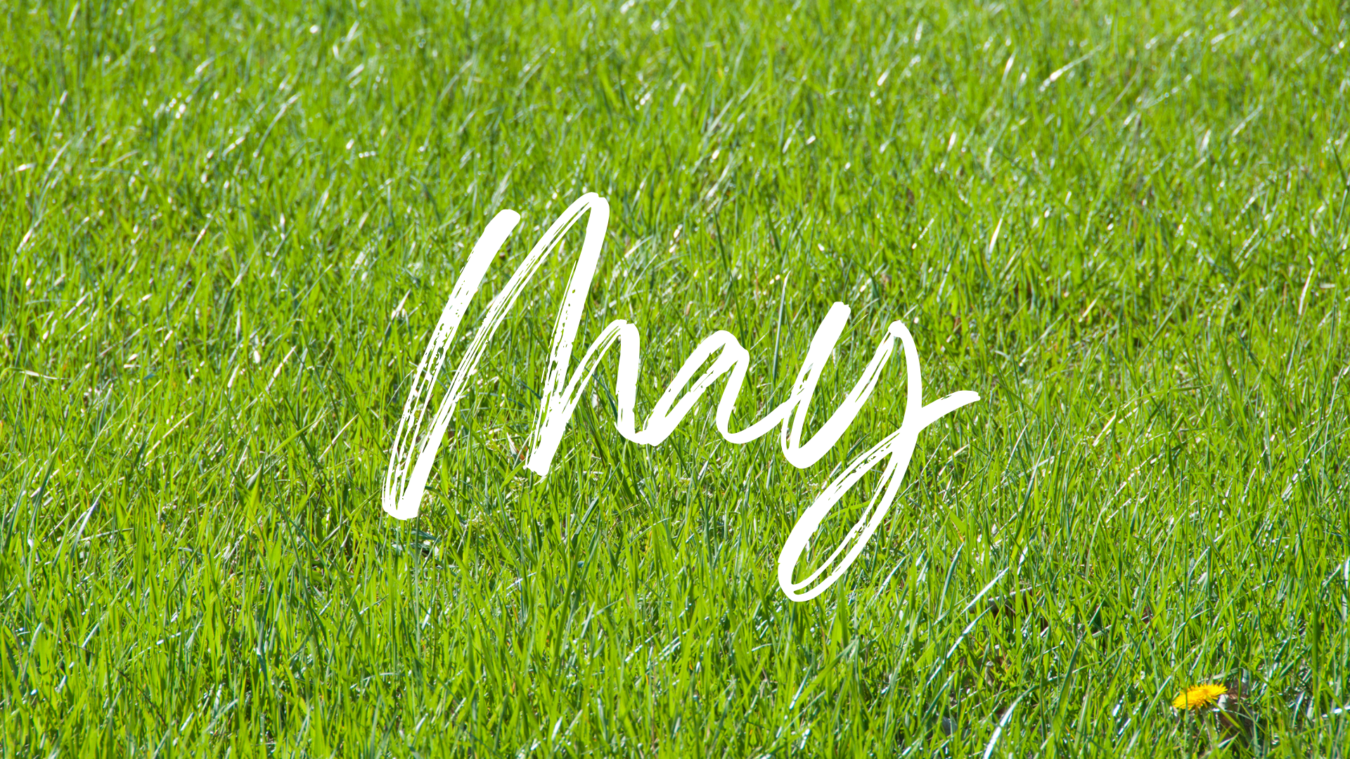 Copy of December Go Digital-4